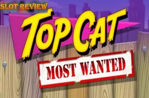 Top Cat Most Wanted